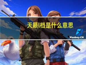 天籁l档是什么意思