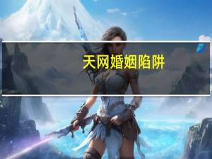 天网婚姻陷阱