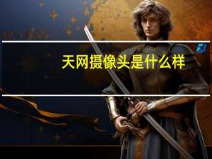 天网摄像头是什么样
