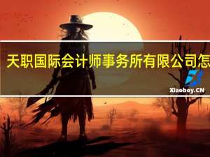 天职国际会计师事务所有限公司怎么样