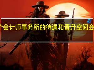 天职国际和大华哪个会计师事务所的待遇和晋升空间会好一些 天职会计师事务所