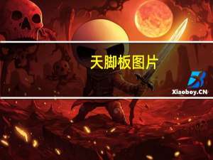 天脚板图片（天脚板）