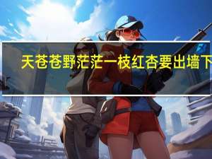 天苍苍野茫茫一枝红杏要出墙下句