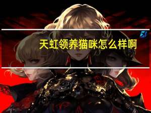 天虹领养猫咪怎么样啊