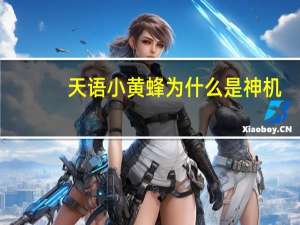 天语小黄蜂为什么是神机（天语大黄蜂怎么样(天语大黄蜂评测)）