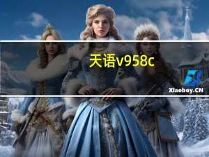 天语v958c（请问天语V958C可支持JAVA和蓝牙）