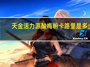 天金活力源 酸梅粉卡路里是多少