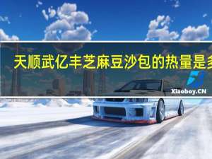 天顺武亿丰 芝麻豆沙包的热量是多少