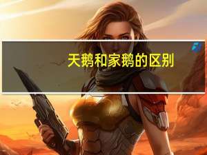 天鹅和家鹅的区别