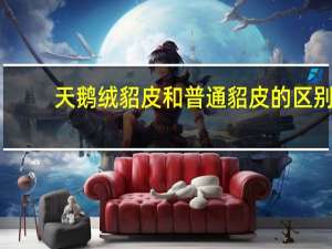 天鹅绒貂皮和普通貂皮的区别
