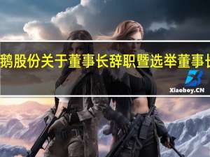天鹅股份关于董事长辞职暨选举董事长的公告
