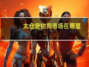 太仓宠物狗市场在哪里