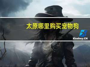 太原哪里购买宠物狗