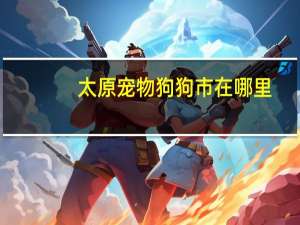 太原宠物狗狗市在哪里
