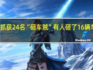 太原警方已抓获24名“砸车贼”有人砸了16辆车 到底什么情况呢
