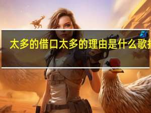 太多的借口太多的理由是什么歌抖音（太多的借口 太多的理由   这是什么歌啊）