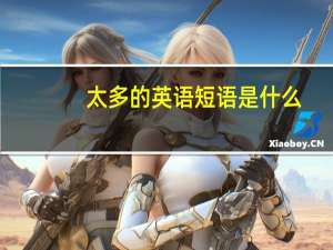 太多的英语短语是什么