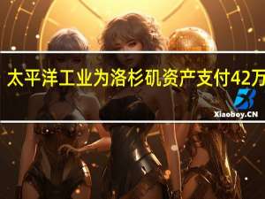 太平洋工业为洛杉矶资产支付42万美元