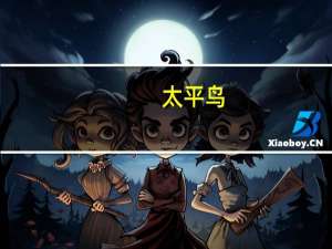 太平鸟：不向下修正太平转债转股价格
