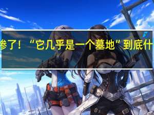 太惨了！“它几乎是一个墓地” 到底什么情况嘞