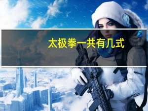 太极拳一共有几式