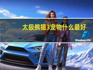 太极熊猫3宠物什么最好