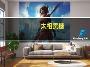 太祖 贡糖(能量果子)的热量是多少