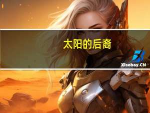 太阳的后裔（关于太阳的后裔的介绍）