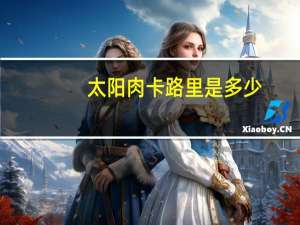 太阳肉卡路里是多少