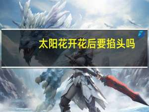 太阳花开花后要掐头吗
