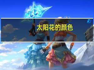 太阳花的颜色