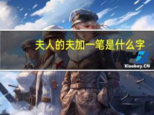 夫人的夫加一笔是什么字（夫加一笔是什么字）