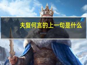 夫复何言的上一句是什么