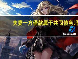 夫妻一方借款属于共同债务吗