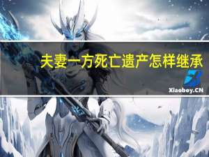 夫妻一方死亡遗产怎样继承