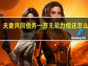 夫妻共同债务一方无能力偿还怎么处理