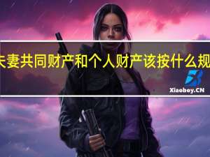 夫妻共同财产和个人财产该按什么规则区分