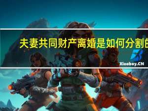 夫妻共同财产离婚是如何分割的