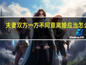 夫妻双方一方不同意离婚应当怎么办