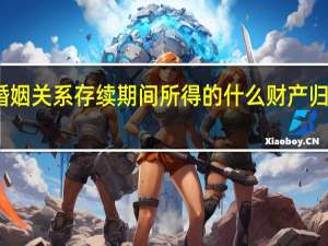 夫妻在婚姻关系存续期间所得的什么财产归夫妻共同所有