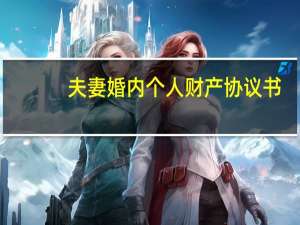 夫妻婚内个人财产协议书