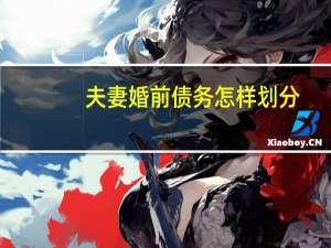 夫妻婚前债务怎样划分