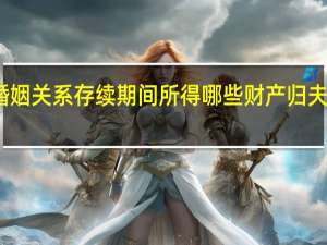 夫妻婚姻关系存续期间所得哪些财产归夫妻共同所有