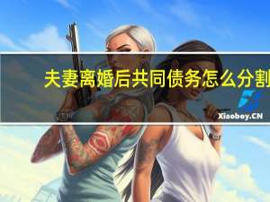 夫妻离婚后共同债务怎么分割