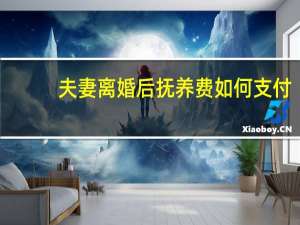 夫妻离婚后抚养费如何支付