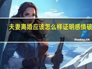 夫妻离婚应该怎么样证明感情破裂