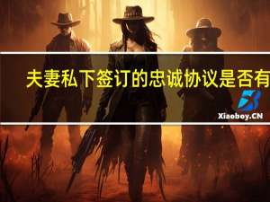 夫妻私下签订的忠诚协议是否有效