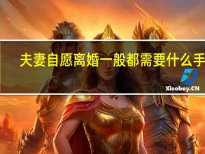 夫妻自愿离婚一般都需要什么手续