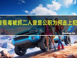 夫妻贩毒被抓 二人曾是公职 为何走上犯罪道路呢？