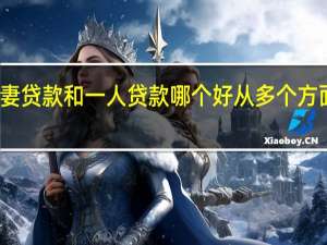 夫妻贷款和一人贷款哪个好 从多个方面去分析